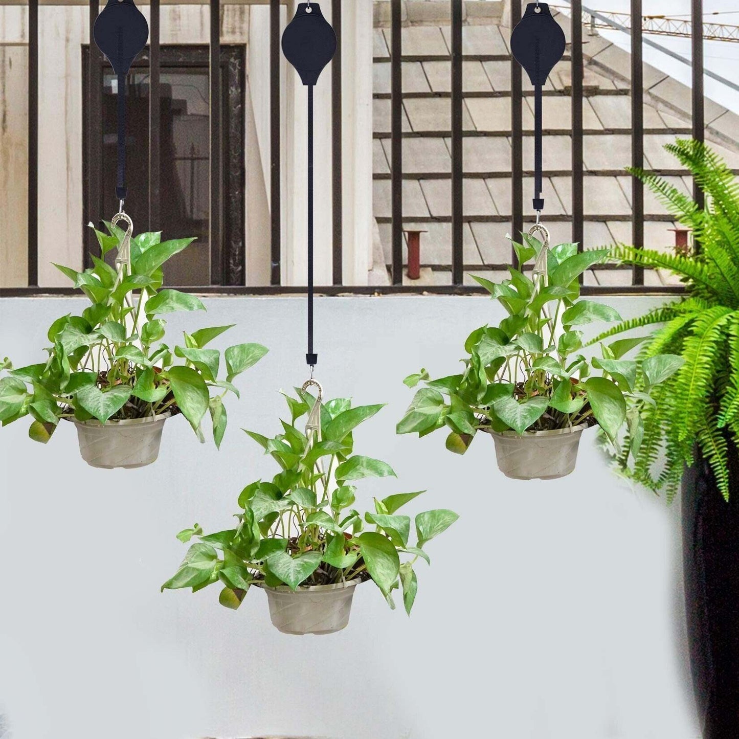 Mess-Free Plant Hanging